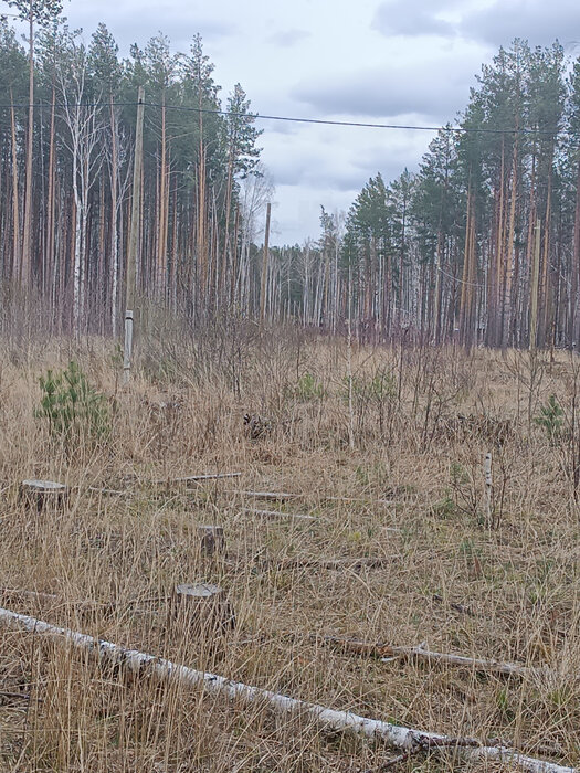 с. Кунгурка, ул. Коралловая, 10 (городской округ Ревда) - фото земельного участка (1)