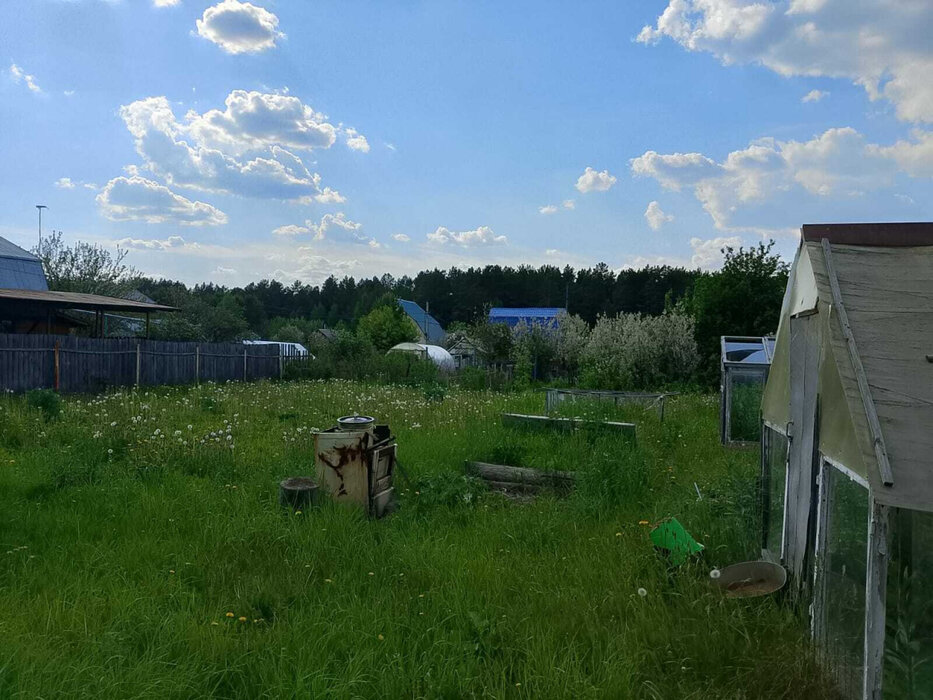 п. Хризолитовый, 50 Лет победы (городской округ Белоярский) - фото сада (8)