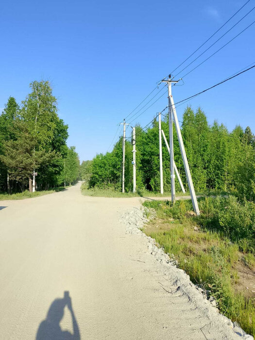 г. Березовский, СНТ Дачник (городской округ Березовский) - фото сада (4)