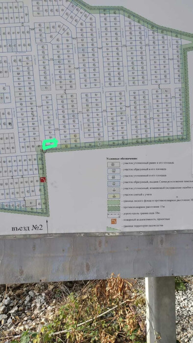 г. Березовский, СНТ Дачник (городской округ Березовский) - фото сада (5)