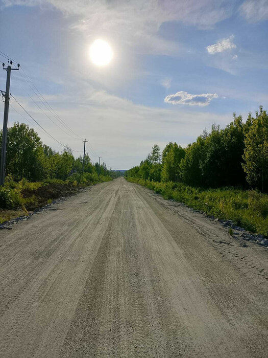 г. Березовский, СНТ Дачник (городской округ Березовский) - фото сада (8)