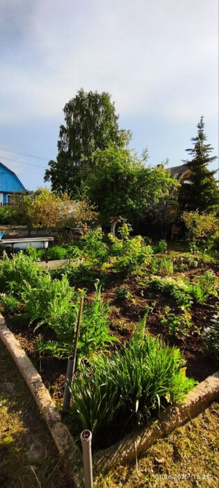 с. Большебрусянское, к/с Электрон (городской округ Белоярский) - фото сада (2)