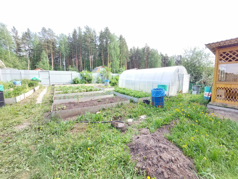 г. Нижний Тагил, снт. Железнодорожник, уч. 86 (городской округ Нижний Тагил) - фото сада (5)