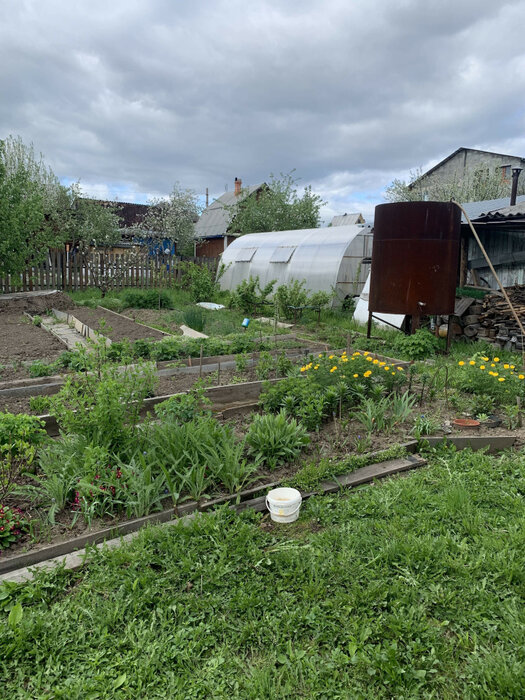 п. Светлый, СНТ Строитель-2 (городской округ Арамильский) - фото сада (8)