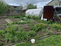 Продажа садового участка: п. Светлый, СНТ Строитель-2 (городской округ Арамильский) - Фото 8