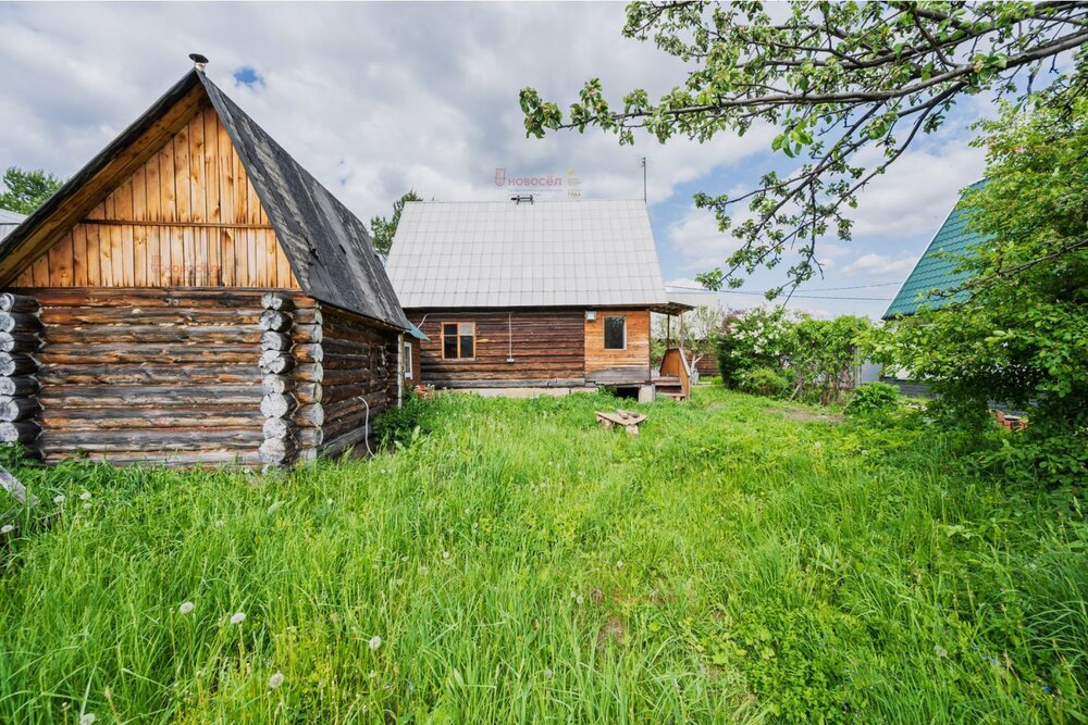 Екатеринбург, к/с Снежинка, уч. 10 (Шабровский) - фото сада (4)