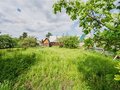 Продажа садового участка: Екатеринбург, к/с Снежинка, уч. 10 (Шабровский) - Фото 6
