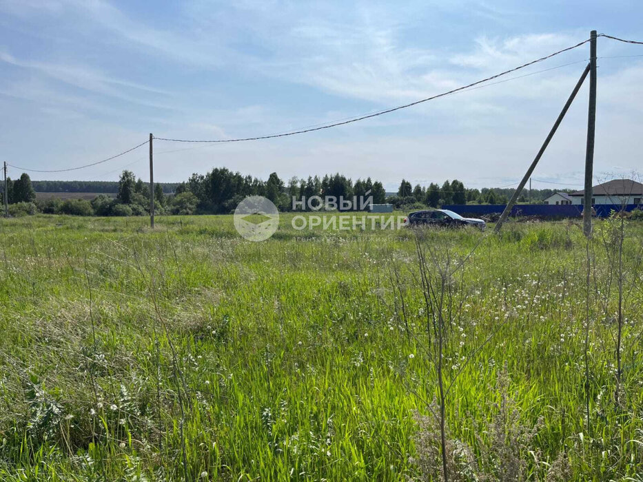 д. Гусева, ул. Петровская, 41 (городской округ Белоярский) - фото земельного участка (2)