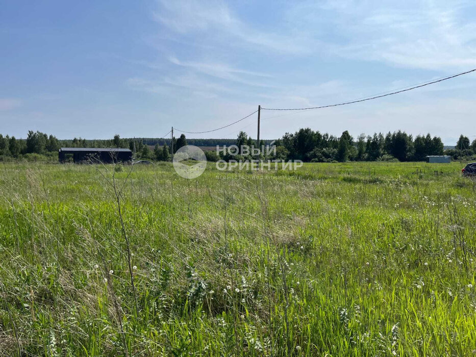 д. Гусева, ул. Петровская, 41 (городской округ Белоярский) - фото земельного участка (3)