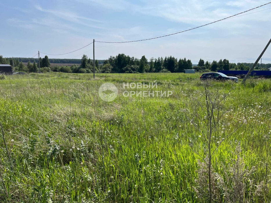 д. Гусева, ул. Петровская, 41 (городской округ Белоярский) - фото земельного участка (5)