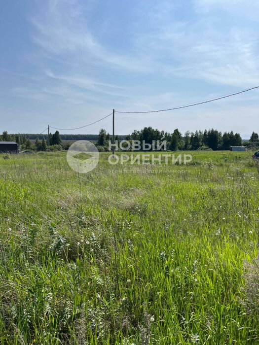 д. Гусева, ул. Петровская, 41 (городской округ Белоярский) - фото земельного участка (6)