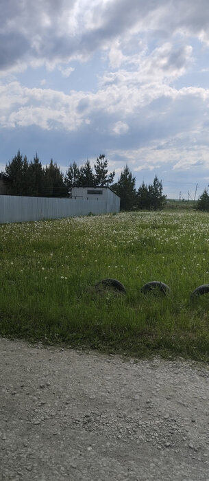 с. Патруши, ул. Мира, 66 (городской округ Сысертский) - фото земельного участка (5)