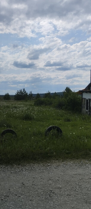 с. Патруши, ул. Мира, 66 (городской округ Сысертский) - фото земельного участка (6)