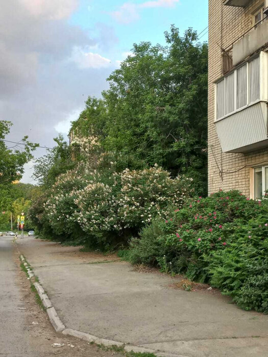 Екатеринбург, ул. Ферганская, 5 (Вторчермет) - фото квартиры (2)