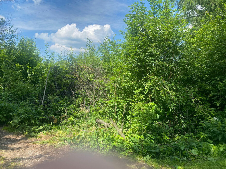 п. Баранчинский, к/с  СНТ НТМК №8, ул. 11-я,   (городской округ Кушвинский) - фото сада (6)