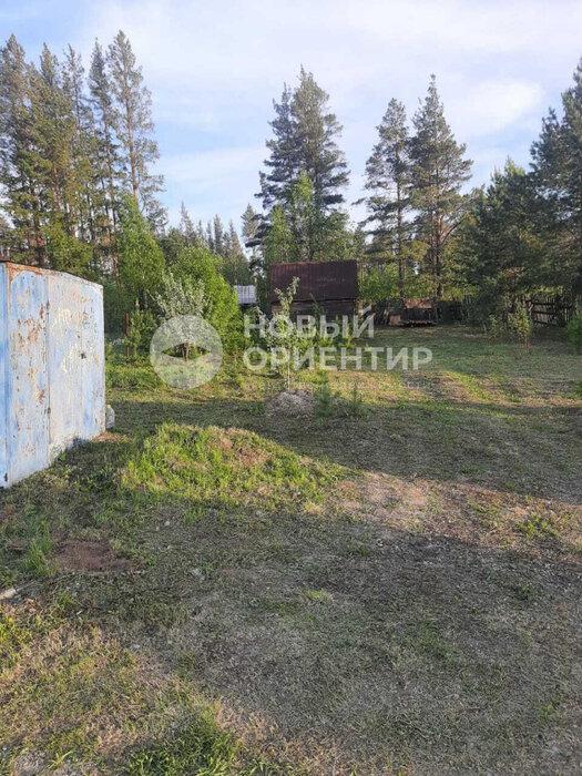 Екатеринбург, коллективный сад Луч ТОО Горнощитское, уч. 49 (Горный щит) - фото сада (4)