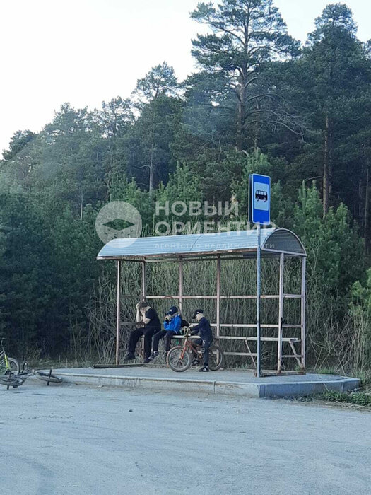 Екатеринбург, коллективный сад Луч ТОО Горнощитское, уч. 49 (Горный щит) - фото сада (8)