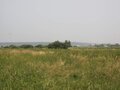 Продажа земельного участка: с. Обуховское, ул. Рабочая,   (Камышловский район) - Фото 1