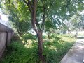 Продажа дома: п. Каменка (г.о. Сысертский), ул. СНТ Каменка 5,   (городской округ Сысертский) - Фото 5