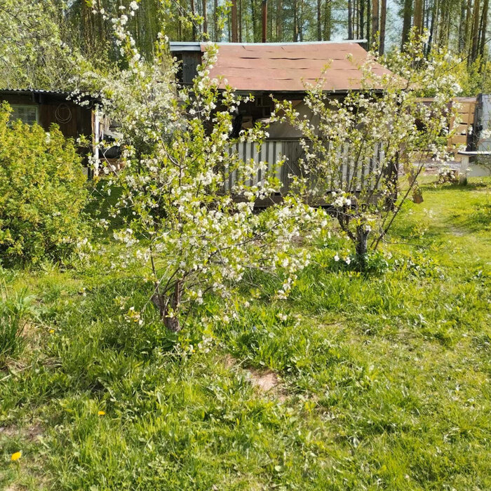 Екатеринбург, снт. Ново-Свердловский , уч. 63 (Технопарк) - фото сада (7)