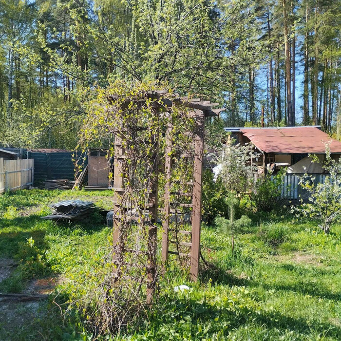 Екатеринбург, снт. Ново-Свердловский , уч. 63 (Технопарк) - фото сада (8)