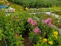 Продажа садового участка: СНТ Дачное, к/с Дачное (городской округ Невьянский) - Фото 1