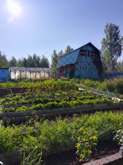 СНТ Дачное, к/с Дачное (городской округ Невьянский) - фото сада (2)