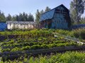 Продажа садового участка: СНТ Дачное, к/с Дачное (городской округ Невьянский) - Фото 2
