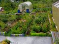 Продажа садового участка: СНТ Дачное, к/с Дачное (городской округ Невьянский) - Фото 3