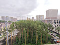 Аренда квартиры: Екатеринбург, ул. Очеретина, 16 (Академический) - Фото 7