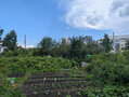 Продажа садового участка: Екатеринбург, СНТ Учитель-2 , уч. 5 (Пионерский) - Фото 5