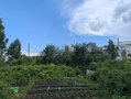 Продажа садового участка: Екатеринбург, СНТ Учитель-2 , уч. 5 (Пионерский) - Фото 6