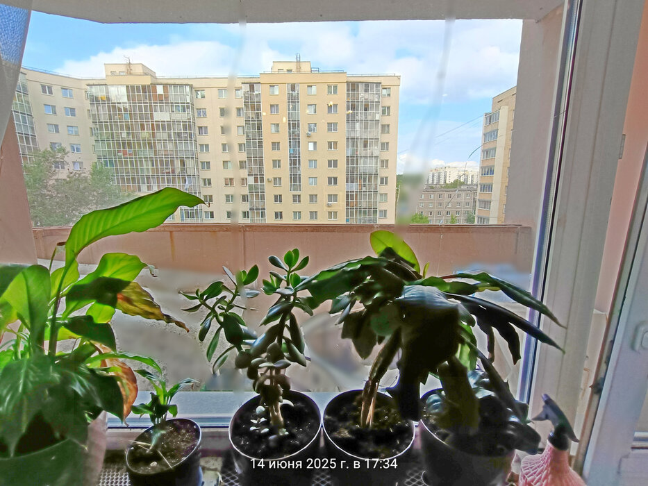 Екатеринбург, ул. Рощинская, 46 (Уктус) - фото квартиры (4)