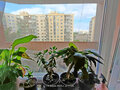 Продажа квартиры: Екатеринбург, ул. Рощинская, 46 (Уктус) - Фото 4