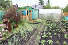 Екатеринбург, СНТ Спутник, ул. Лозовая, 5 - фото сада