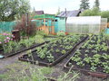 Продажа садового участка: Екатеринбург, СНТ Спутник, ул. Лозовая, 5 - Фото 7