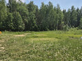 Продажа земельного участка: с. Балтым, ул. СТСН Тихий Балтым (городской округ Верхняя Пышма) - Фото 2