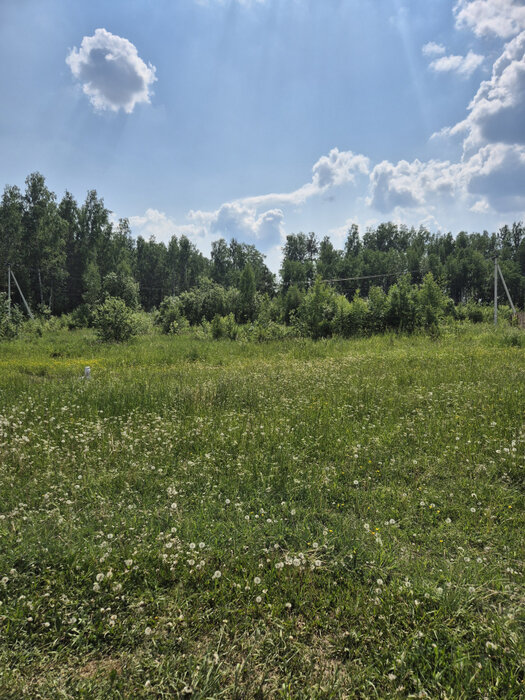 с. Балтым, ул. СТСН Тихий Балтым (городской округ Верхняя Пышма) - фото земельного участка (4)