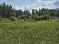 Продажа земельного участка: с. Балтым, ул. СТСН Тихий Балтым (городской округ Верхняя Пышма) - Фото 4