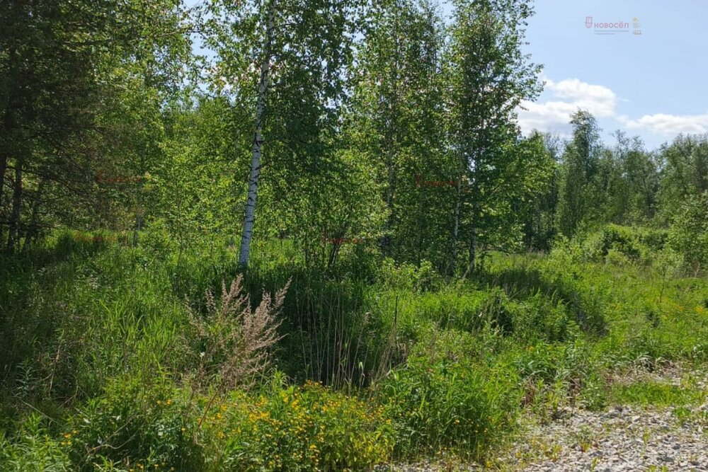 с. Мостовское (г.о. Вехняя Пышма), ул. Еловая, 12 (городской округ Верхняя Пышма) - фото земельного участка (2)