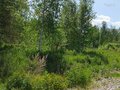 Продажа земельного участка: с. Мостовское (г.о. Вехняя Пышма), ул. Еловая, 12 (городской округ Верхняя Пышма) - Фото 2