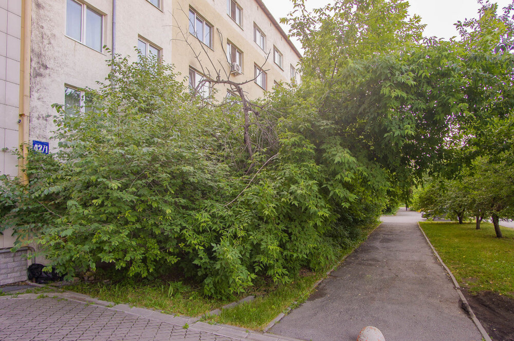 Екатеринбург, ул. Машинная, 42к1 (Автовокзал) - фото квартиры (3)