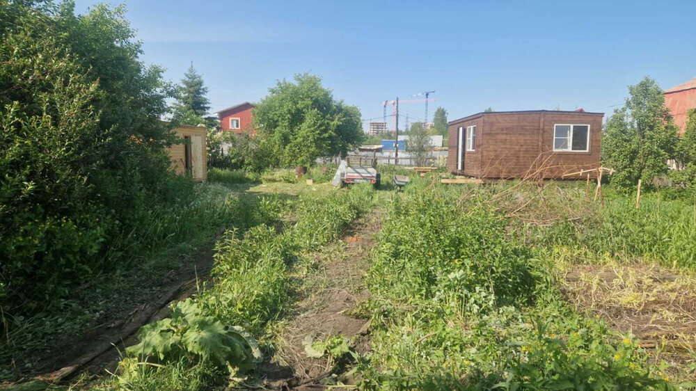 с. Кунгурка, урочище Дегтяные (городской округ Ревда) - фото сада (4)