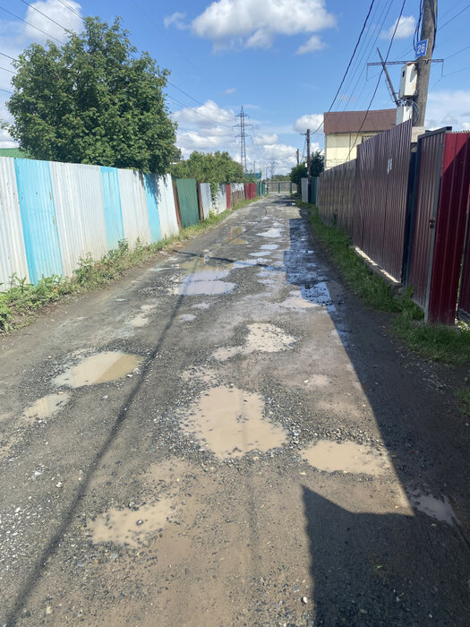 с. Кунгурка, урочище Дегтяные (городской округ Ревда) - фото сада (5)