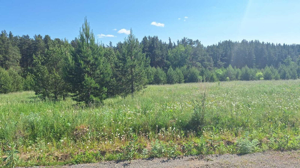 поселок городского типа Белоярский, ул. Просторная,   (городской округ Белоярский) - фото коттеджа (4)
