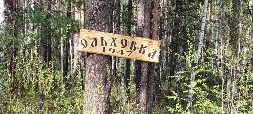 п. Ольховка (г.о. Пышма), ул. Озерная, 15 (городской округ Верхняя Пышма) - фото дома (2)