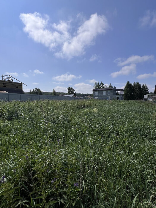 д. Гусева, ул. Зелёная, 3 (городской округ Белоярский) - фото земельного участка (4)