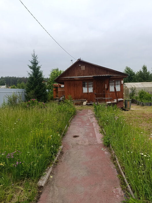 п. Красный Адуй, СНТ Урал, ул. 3-я улица (городской округ Верхняя Пышма) - фото сада (1)