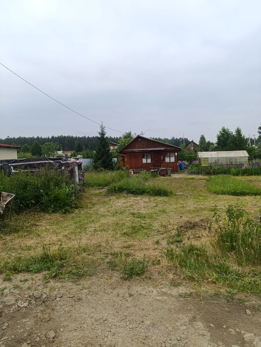 п. Красный Адуй, СНТ Урал, ул. 3-я улица (городской округ Верхняя Пышма) - фото сада (5)