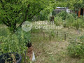 Продажа садового участка: Екатеринбург, СНТ Росинка , уч. 128 (Елизавет) - Фото 5